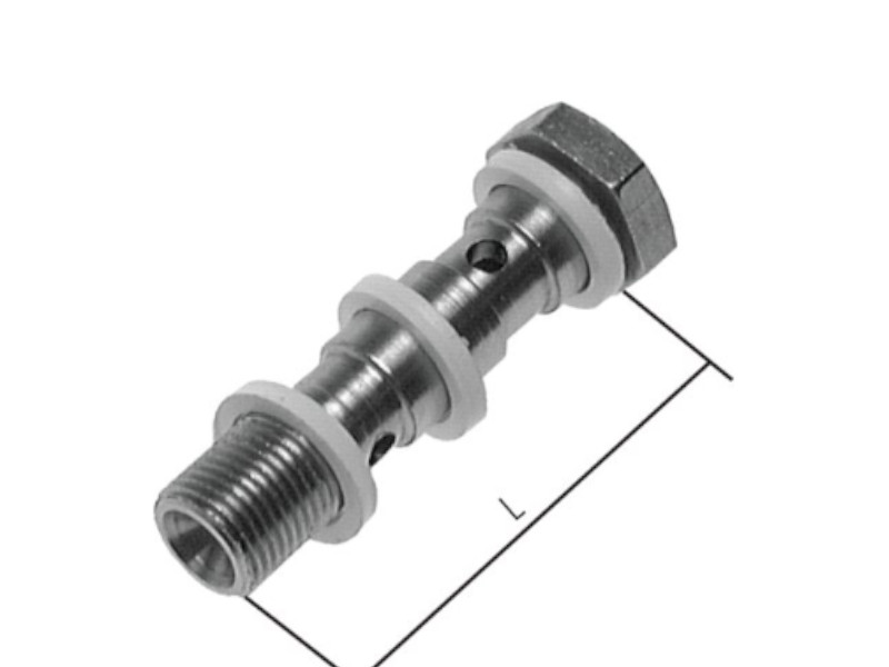 Hohlschraube 2-fach G 1/8" Länge 40 mm SW 14 mm Edelstahl